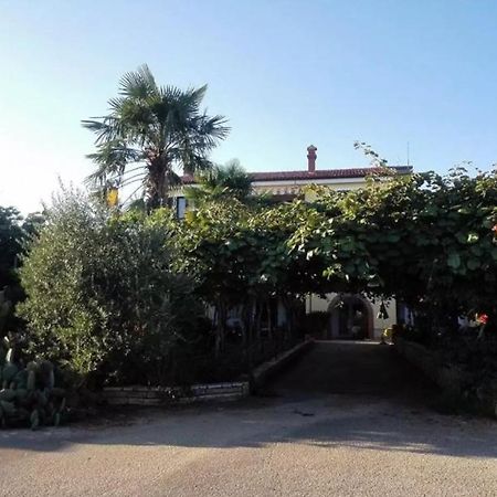 Appartement App Carla à Novigrad Istria Extérieur photo