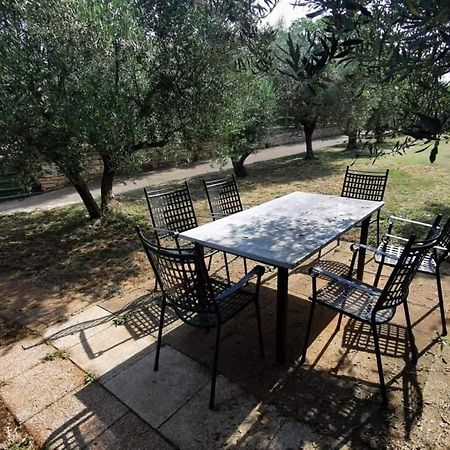 Appartement App Carla à Novigrad Istria Extérieur photo