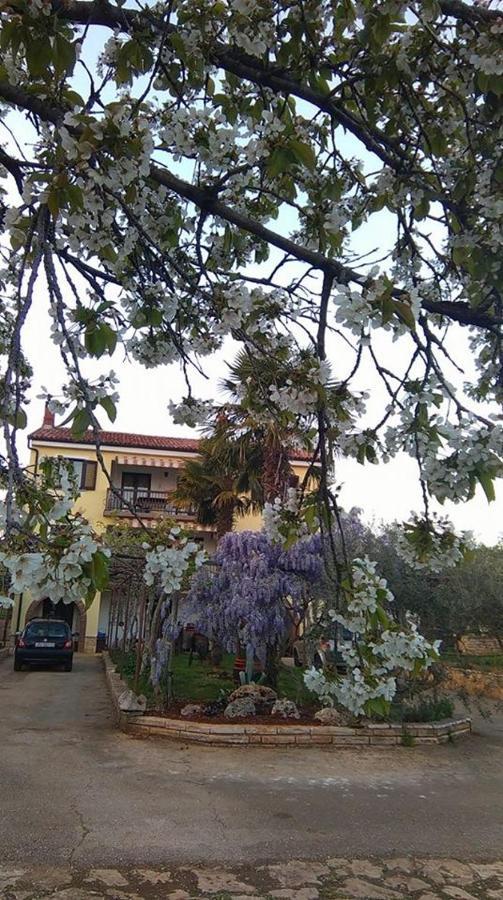 Appartement App Carla à Novigrad Istria Extérieur photo