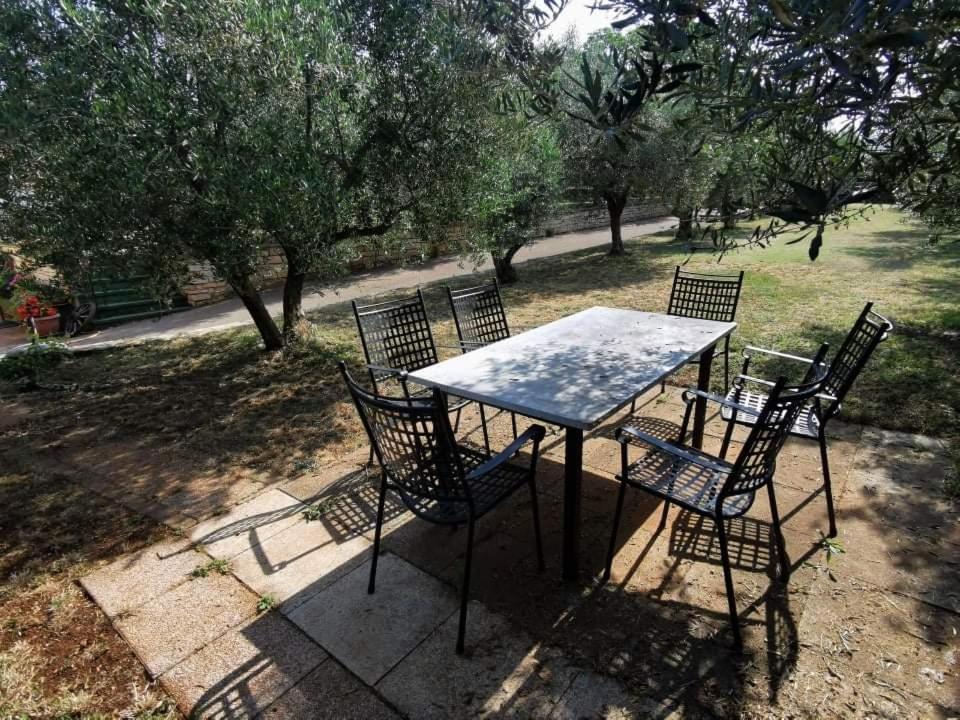 Appartement App Carla à Novigrad Istria Extérieur photo