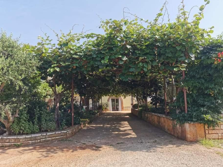 Appartement App Carla à Novigrad Istria Extérieur photo