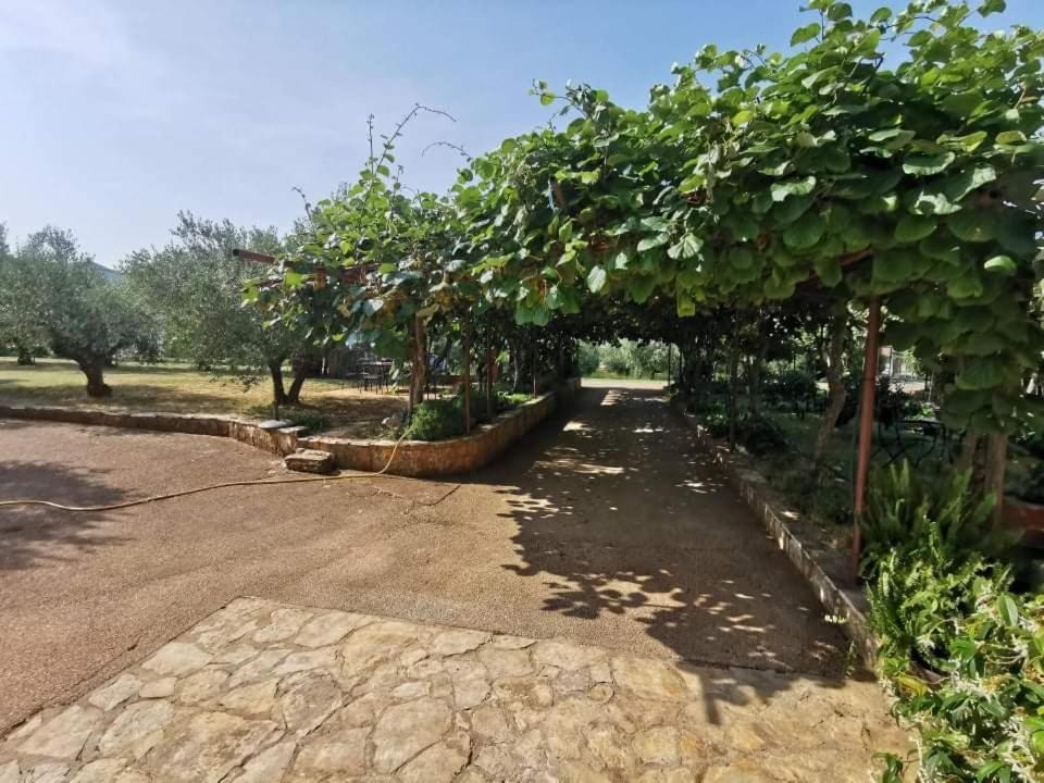 Appartement App Carla à Novigrad Istria Extérieur photo